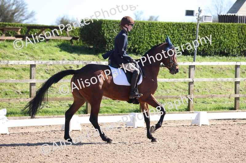 20260318-0502 - Class 5 - Novice 2