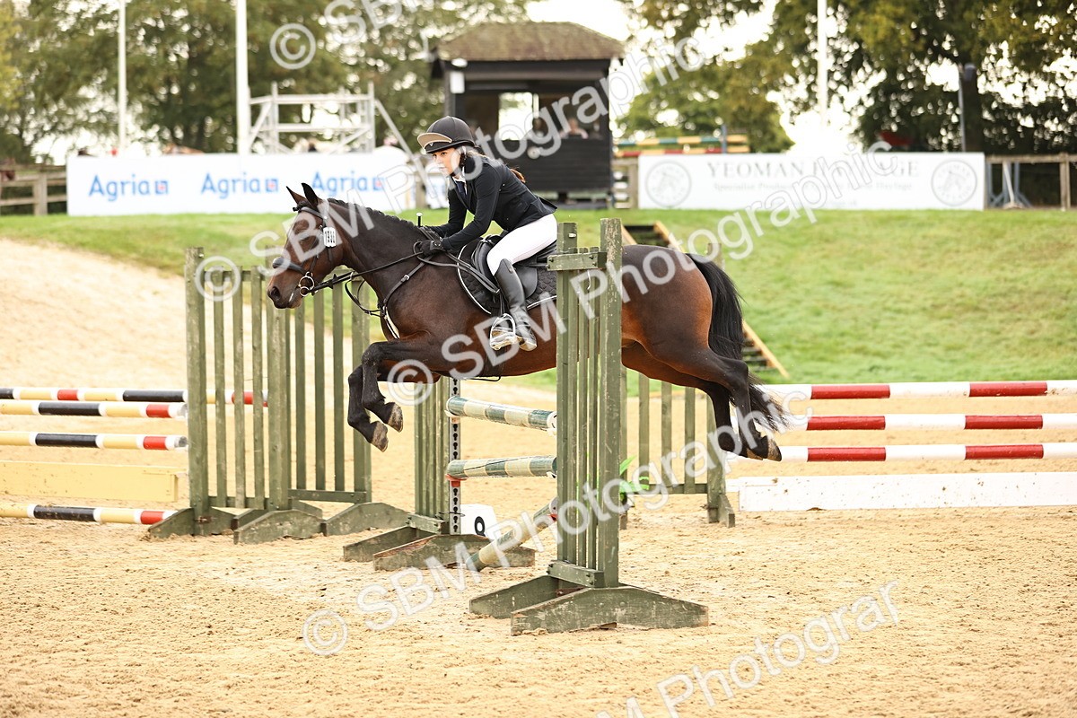 SBM_58295 - J41 - Grand Tour Horse & Pony 95cm