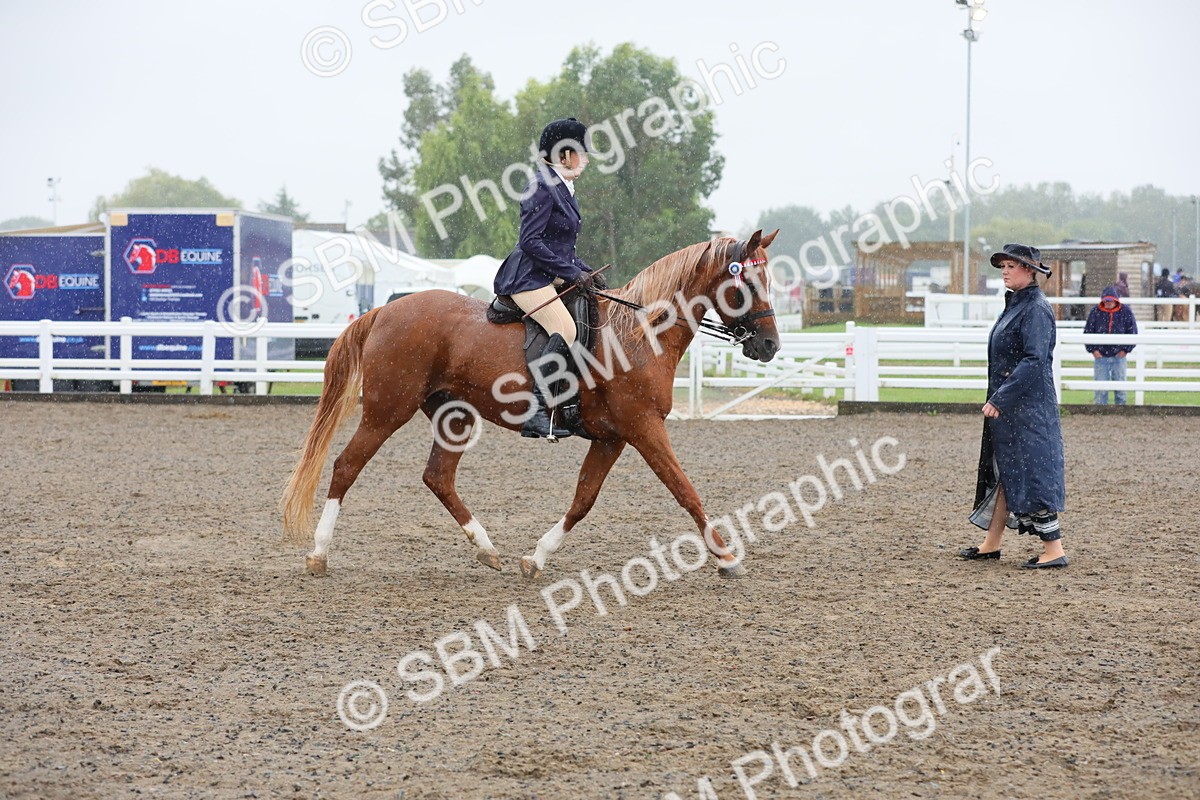 SBM_20358 - Class 803 - Ridden Combination 65+