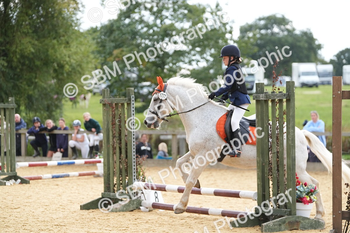 SBM_74689 - J4 - Mini Tour Junior Pony 45cm Championship