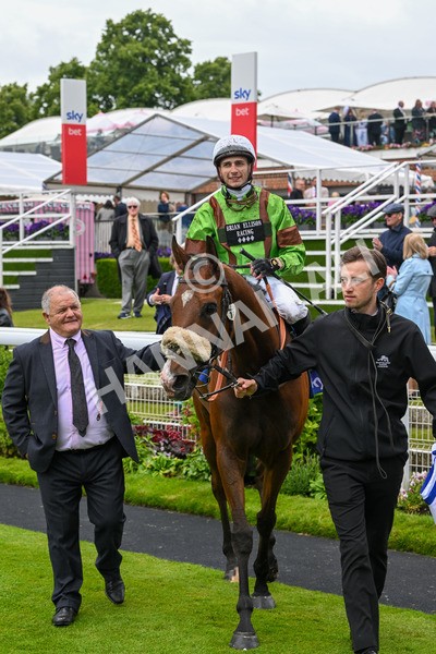 150624-Race 2-Tolstoy-6918 - Race 2 2.25pm Sky Bet Proud To Support Macmillan Handicap