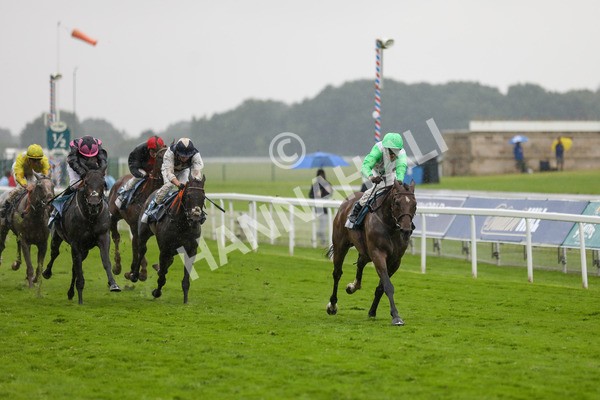 140723-Race 7-Gibside-8657 - Race 7 5.30pm William Hill Extra Place Races Daily Apprentice Handicap