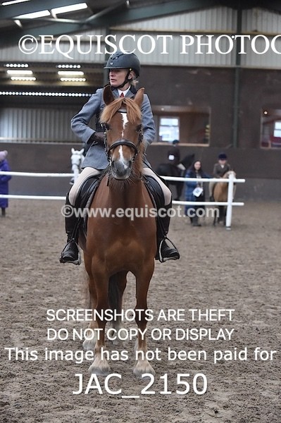 JAC_2150 - CLASS 1 Nursery Novice Working Hunter