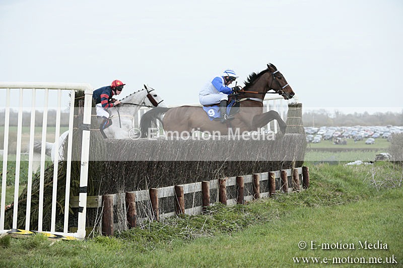 PtP 230319 112 - VWH Hunt Siddington Point-to-Point Racing 23/03/19