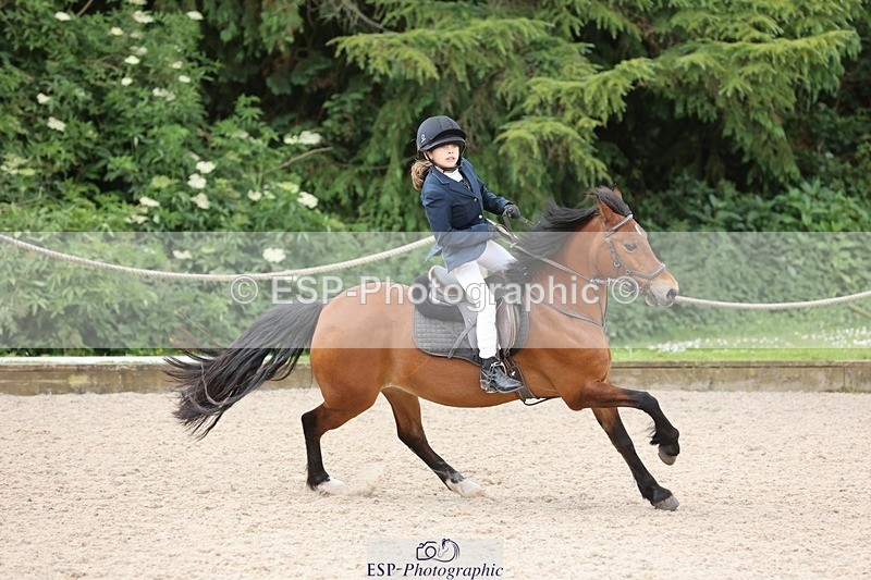 240616-104526-03167 - 60cm