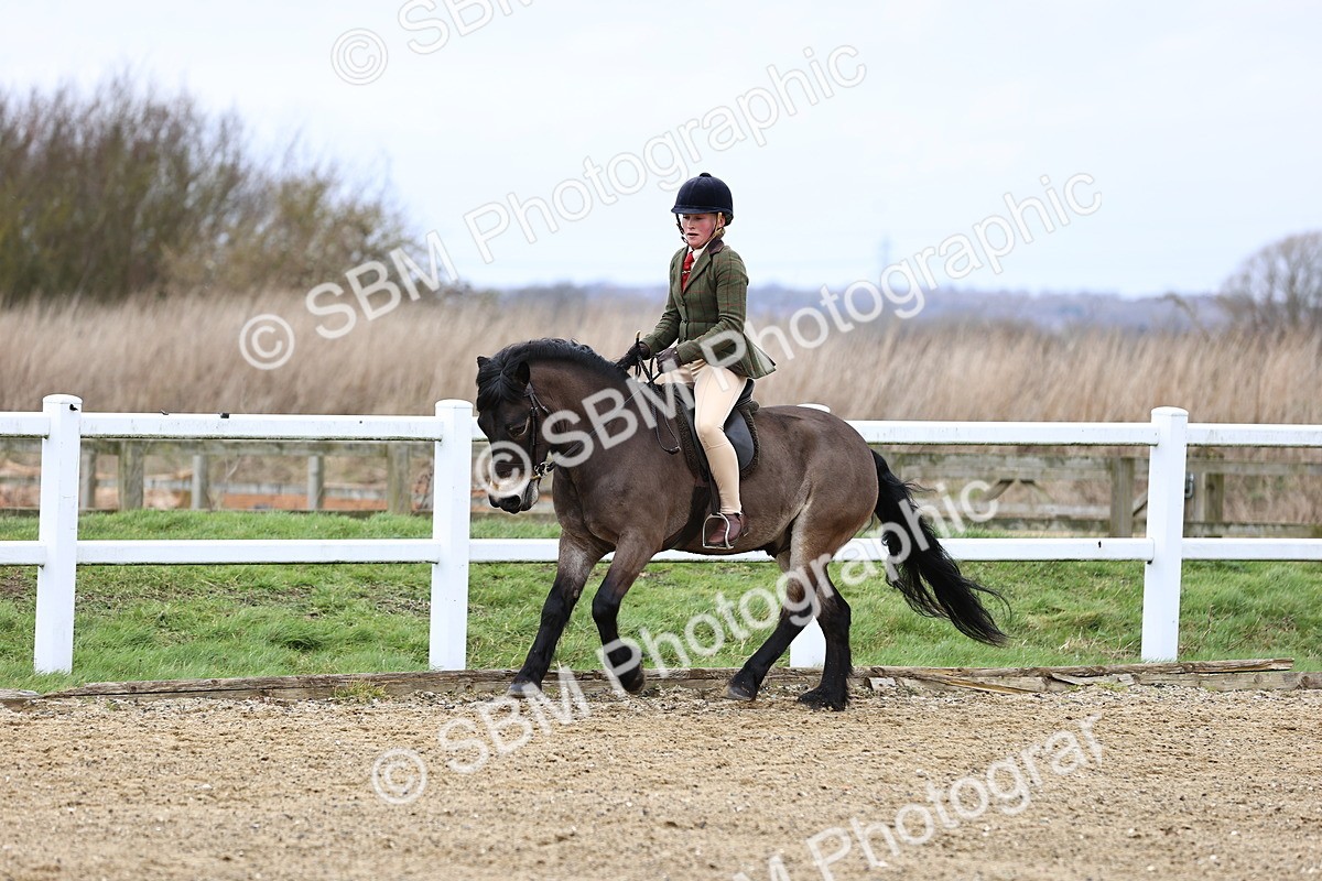 SBM_006789 - Class 29 - 30 - M&M Pure Novice Small-Large Breeds