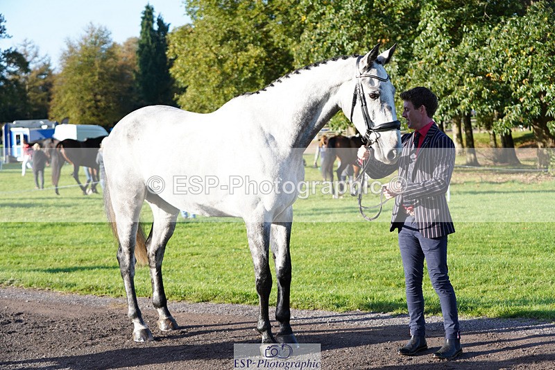 241026-100530-11602 - 001-Cameron.Beer-NEWPORTS.DEFINITELY.UNTOUCHABLE