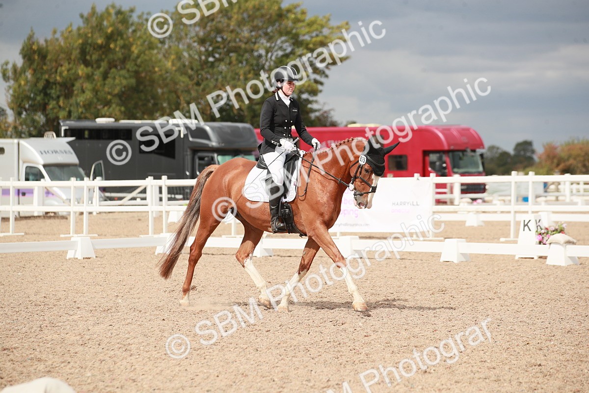 SBM_05950 - Class 32 - Novice 1