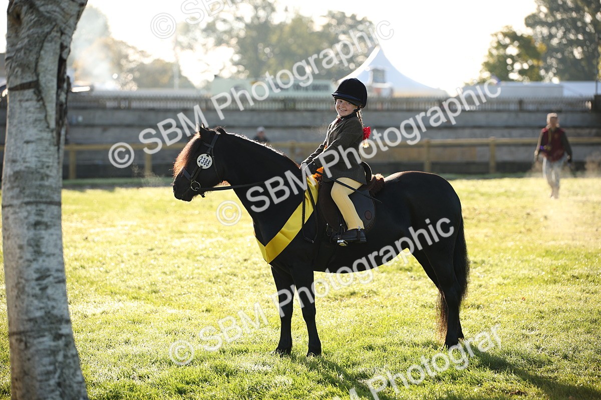 SBM_32375 - S8 - Best Turned Out