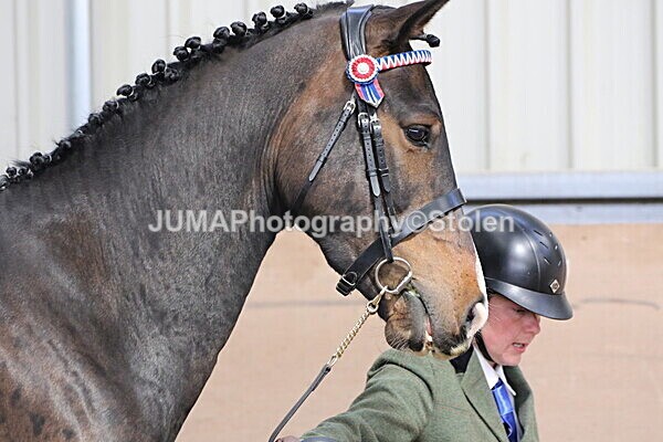 SIAL9915 - Indoor Classes