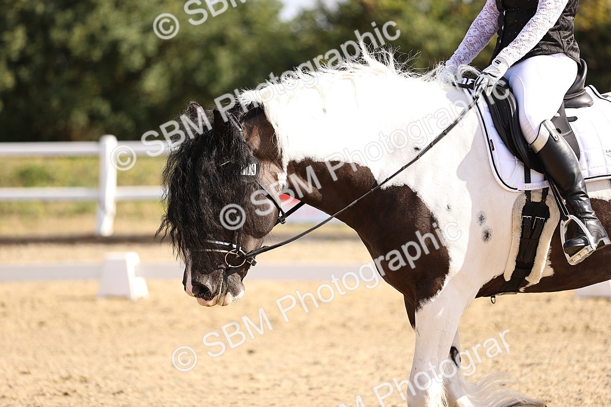 SBM_008642 - Novice 5 - 08.30-9.33