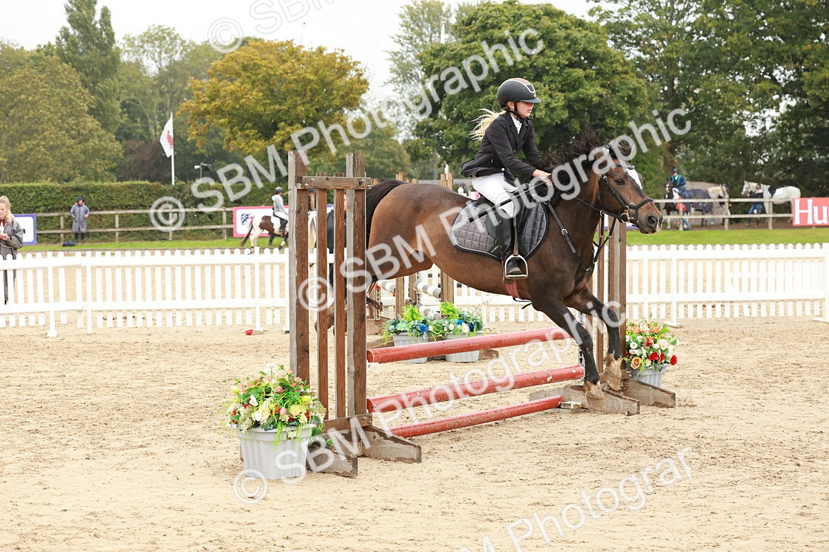 SBM_71100 - J14 - Junior Pony 65cm Championship