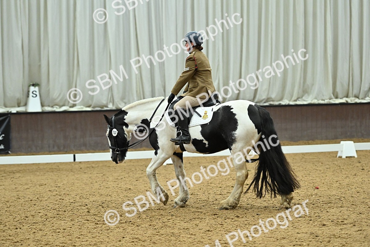 SBM_007394 - Class 81 - Novice 3