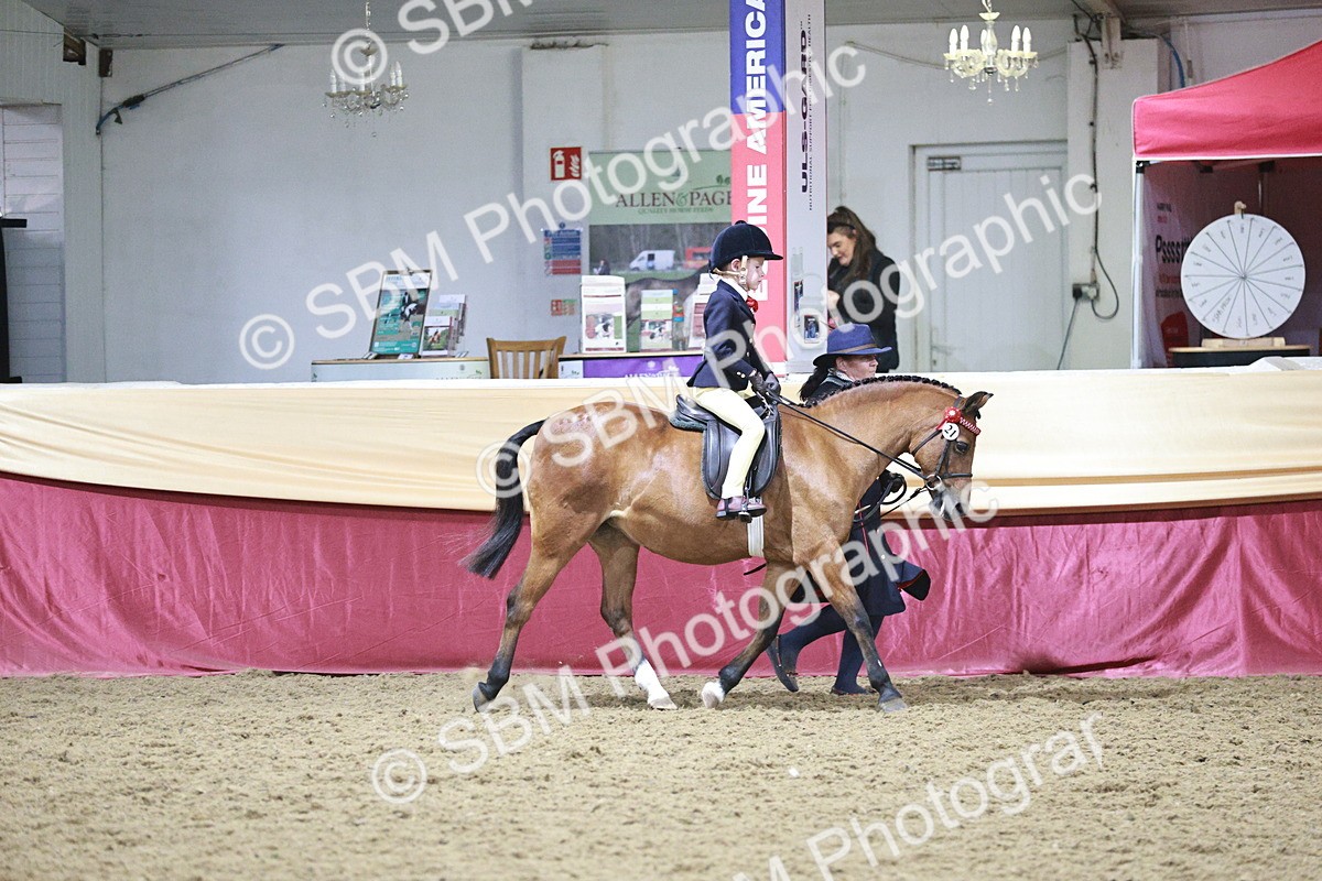 SBM_08063 - Class 11R - Regional Ridden Veteran