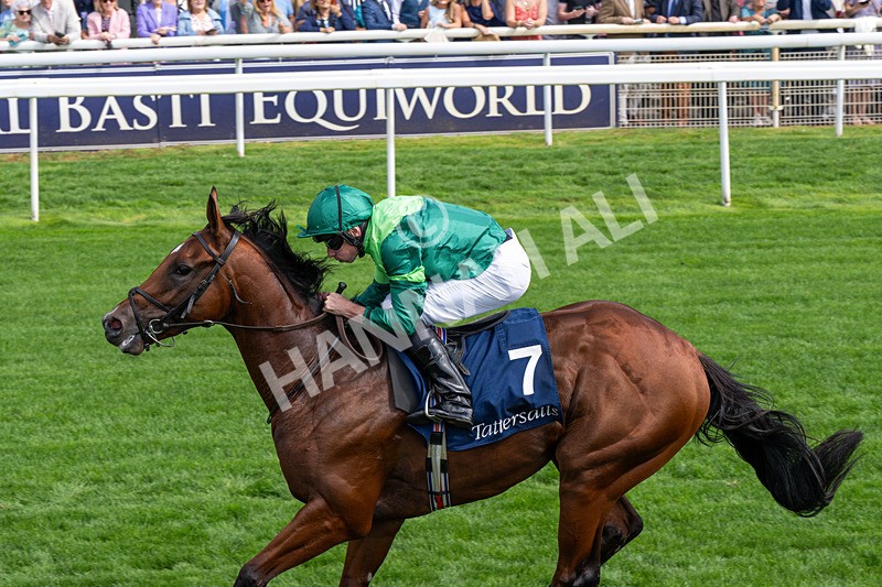 190826-Race 2-Haffner-0234 - Race 2 14.25pm Tattersalls Acomb Stakes