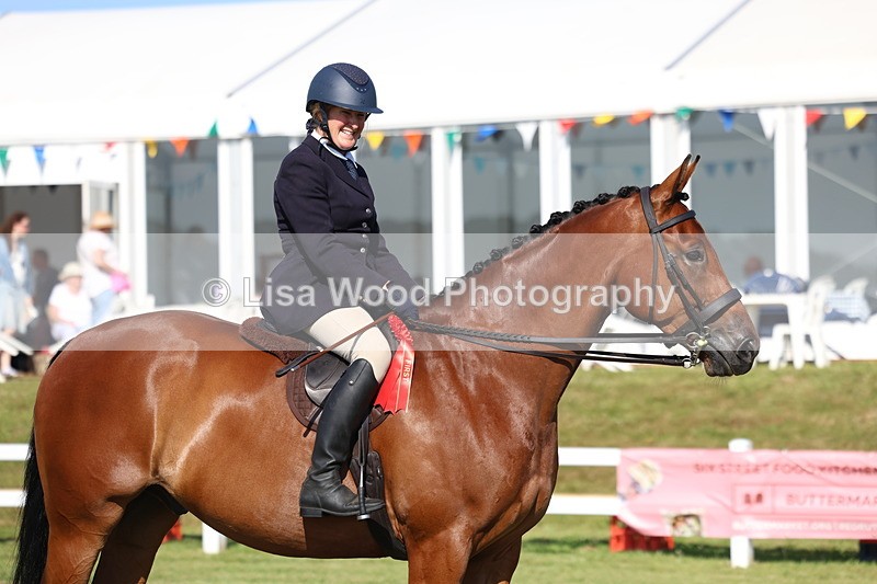 3E7A5736 - Class 2: Rising Star Large Hack/Riding Horse