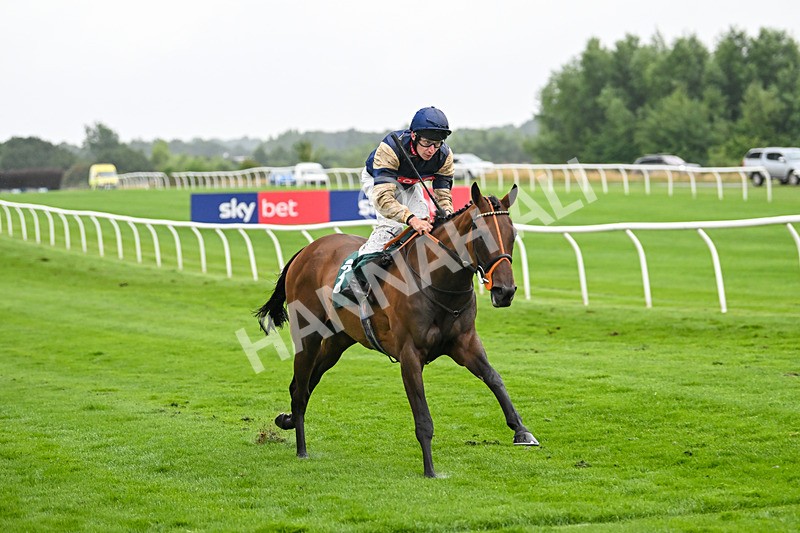 230725-Race 5-Bosphorus Rose-0474 - Race 5