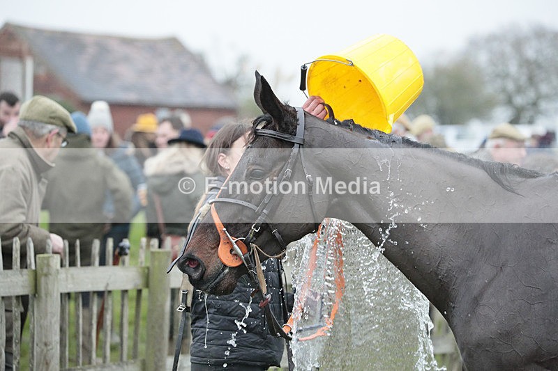 PtP 041222 0346 - Wheatland  Hunt PtP Chaddesley Corbett, Worcs 04/12/22
