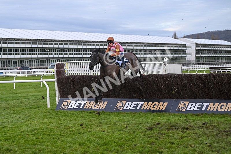 141224-Race 5-Etalon-1994 - Race 5