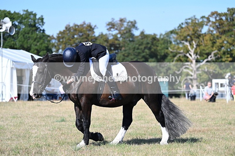 WJ7_9174 - Time 09:27 to 10:03