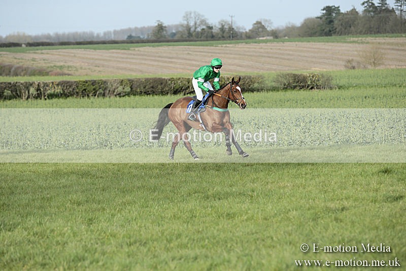 PtP 230319 461 - VWH Hunt Siddington Point-to-Point Racing 23/03/19