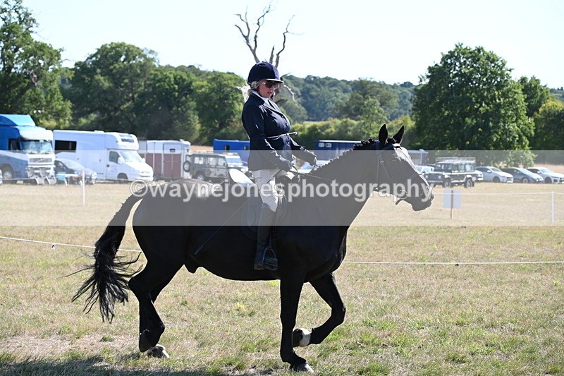 WJ6_7468 - Class 34 Judges Choice
