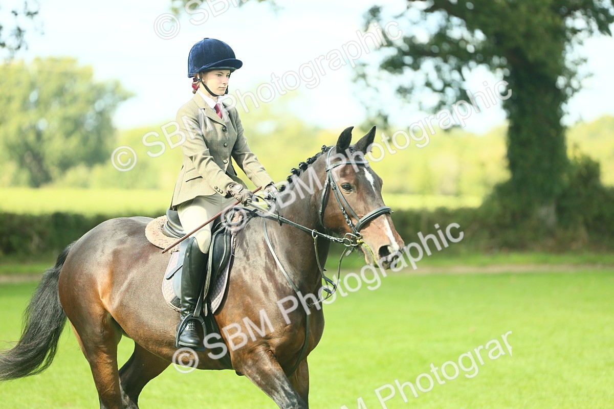 SBM_42045 - S29 - Novice & Newcomers Working Hunter Pony