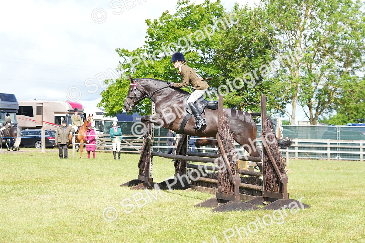 SBM_12888 - Class 99 - RIHS SEIB Working Show Horse