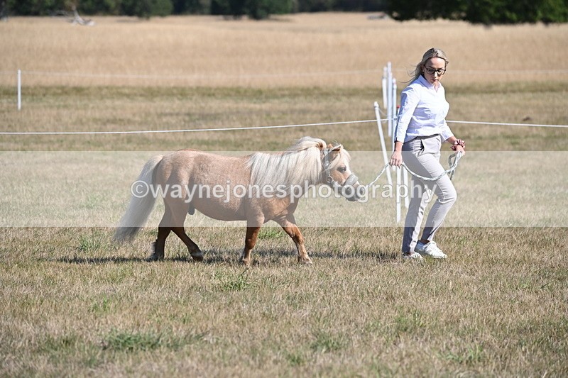 WJ6_7184 - Class 33 Rescue Pony