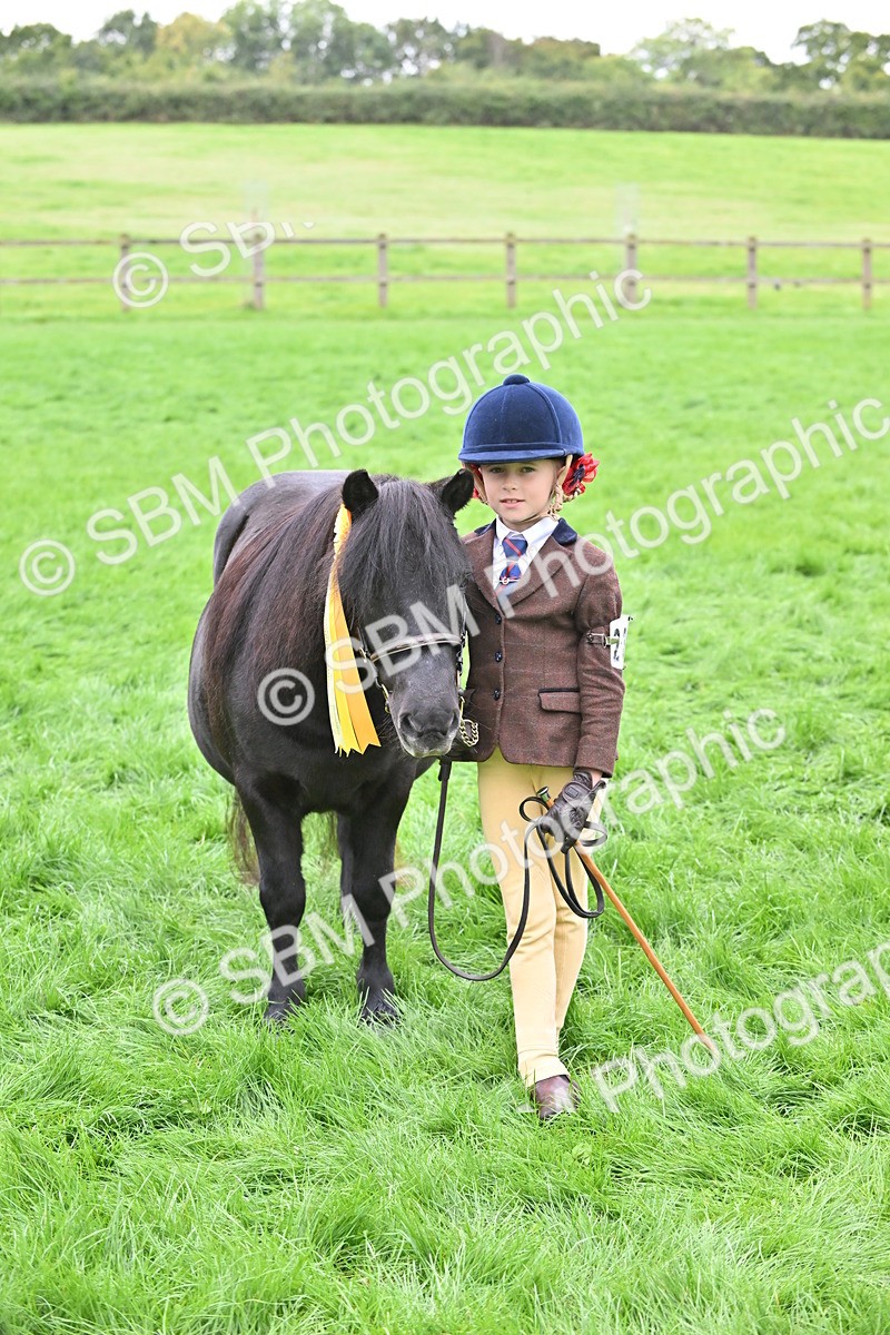 SBM_61059 - S48 - Mountain & Moorland In Hand Small Breeds