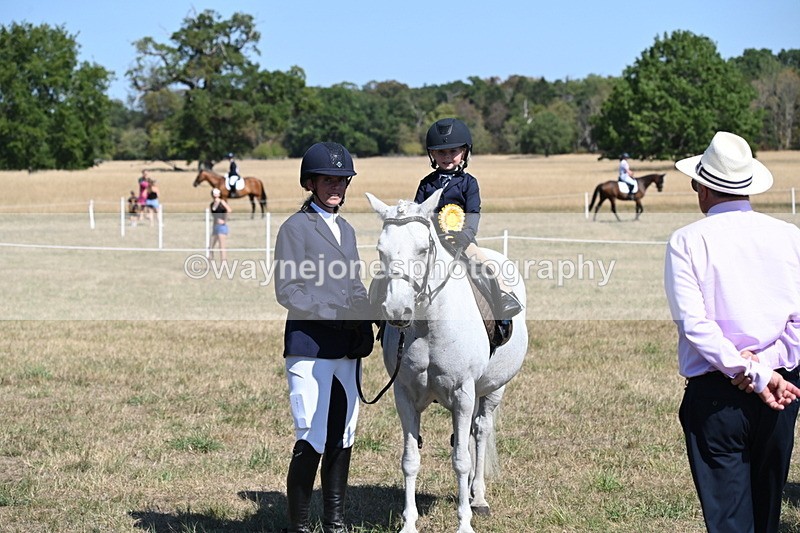 WJ6_8146 - Class 36 Lead Rein