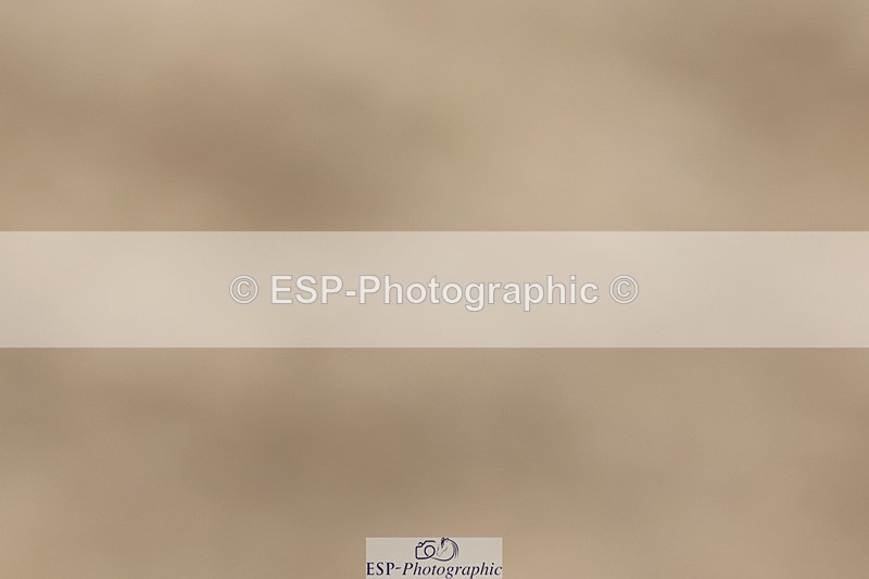 250622-120023-15133 - Cls 47 Novice 5, 11.30am to End