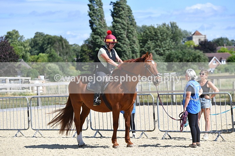 WJ5_4984 - Poles on the Floor