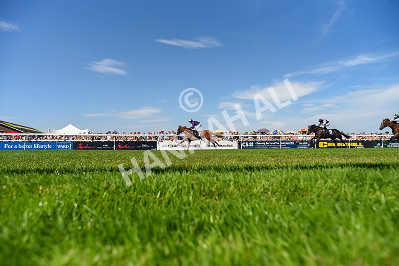 120826-Race 2-Empire Rising-6325 - Race 2 14.45pm 911 At Porsche Centre Hull EBF Restricted Maiden Stakes