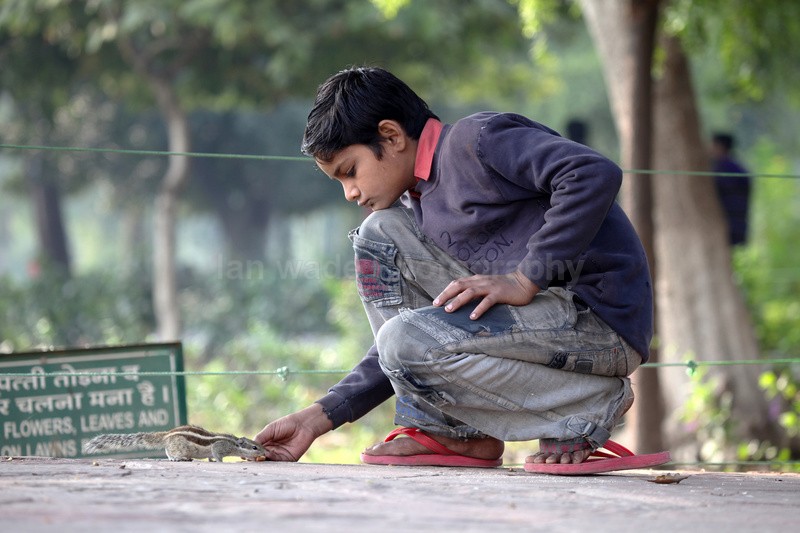  - Indian - People, Culture, Wildlife & landscape
