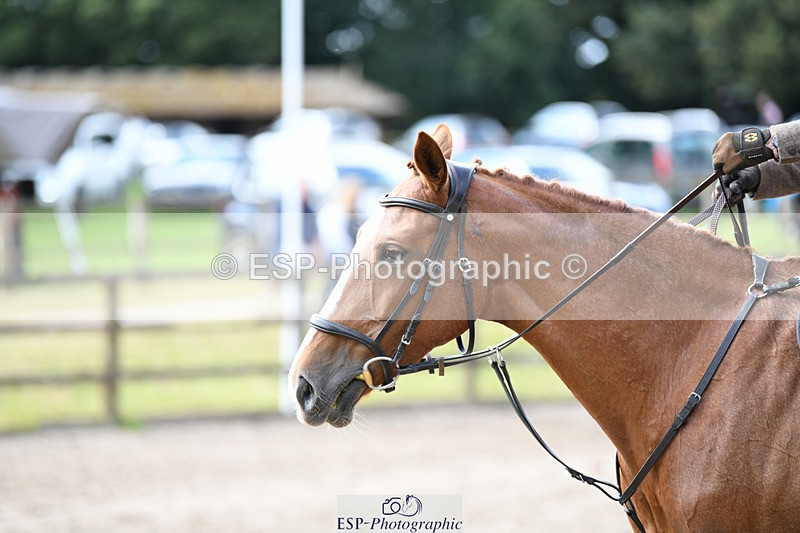 240825X-121114-32801 - 70cm SJ 11.40 to 12.30