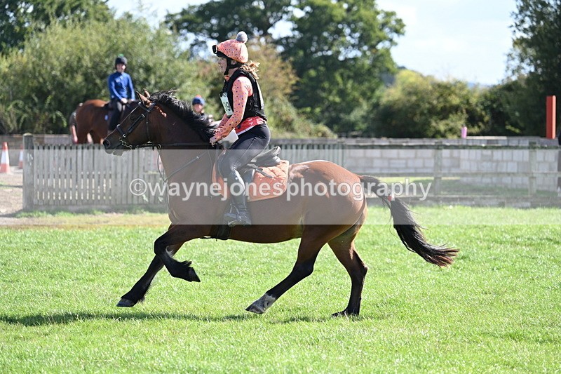 WJ7_1284 - Time 13:56 to 14:24