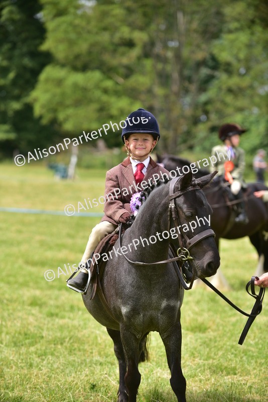 20260614-3738 - Class 15 - Prettiest Mare