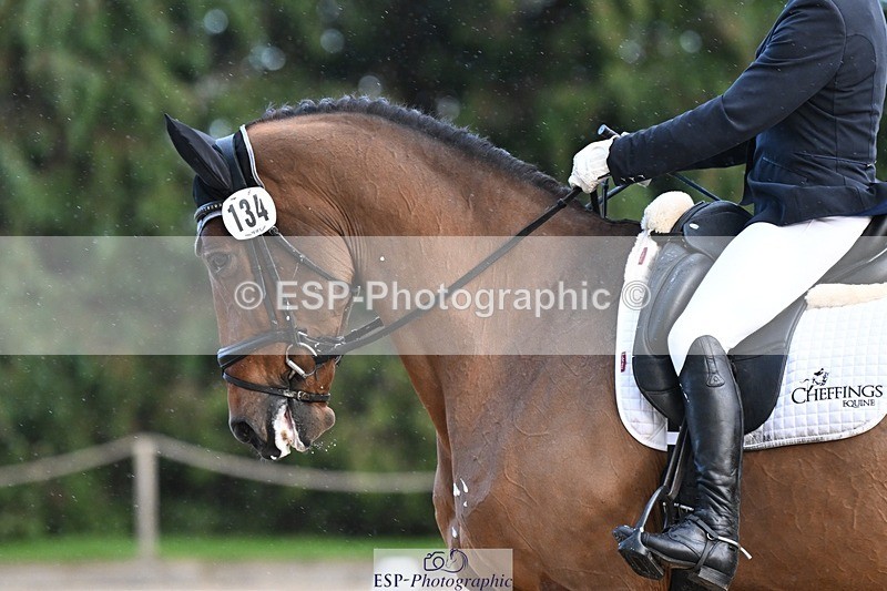 231110-150800-02119 - Cls 9 Adv Medium 91Q