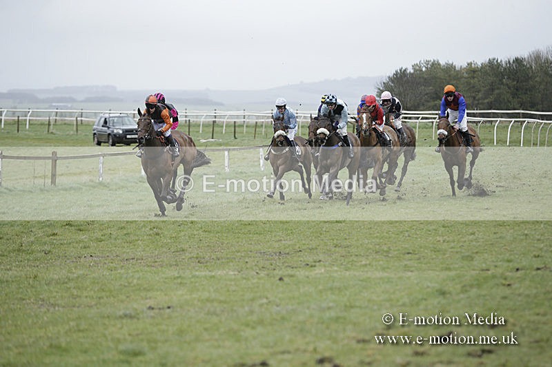 PtP 150320 0190 - New Forest Point-to-Point Larkhill 15/03/20