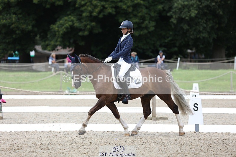 230812-115941-03900 - Cls 5 Novice Bronze 11.15 to 12.50 break