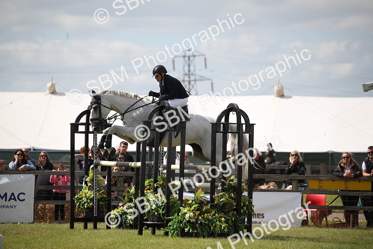 SBM_17531 - Class 208 - Senior Foxhunter 1.20m Open