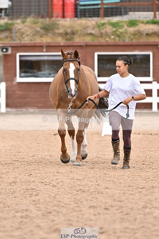 250716-162538-02627 - Trot Up 3.30 to 4.30