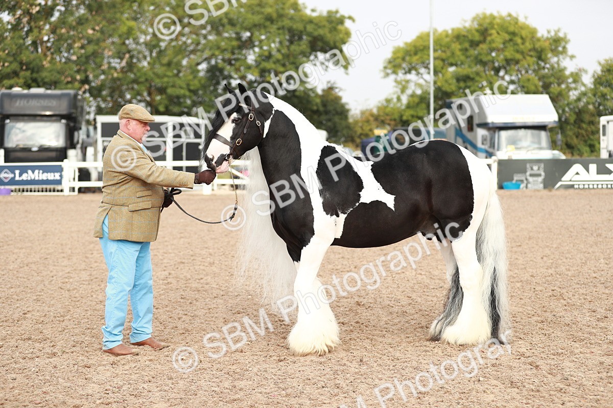SBM_09559 - Class 201 Best Turned Out IH