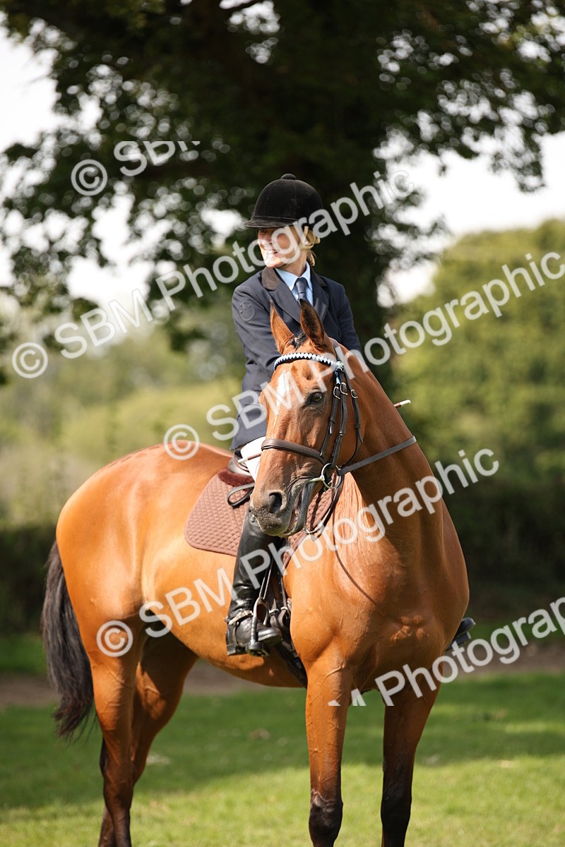 SBM_65977 - S64 - Riding Horse & Hack & Thoroughbred Ridden