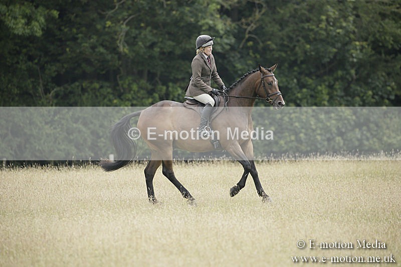 B230619-0418 - Bourne Valley Riding Club Summer Show 23/06/19