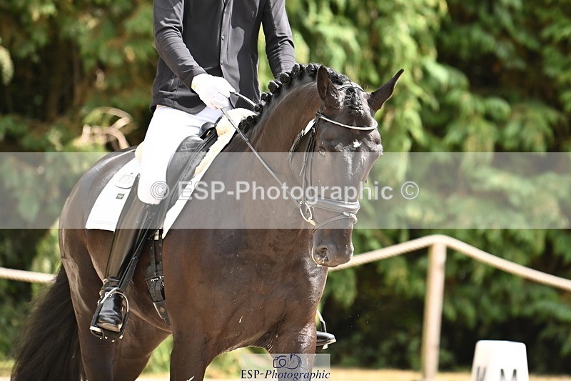 250808A-140421-00775 - 128-Joe.RoomeMonarchs.Way.Tobiah