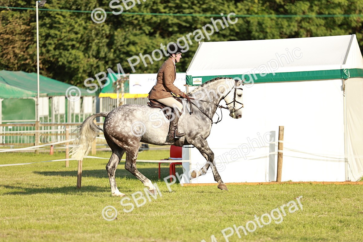 SBM_20454 - Class 117-119 - Sport Horse Working Hunter