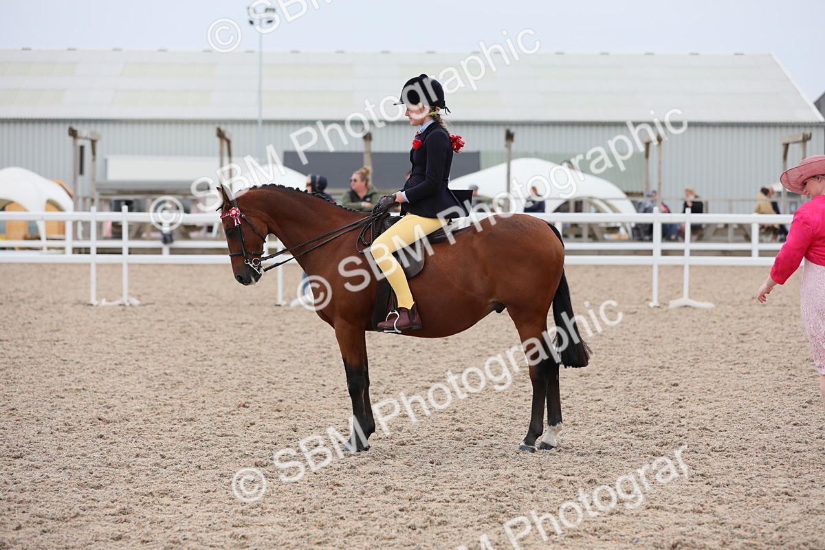 SBM_18089 - Class 316 Best Pony/Rider Combination