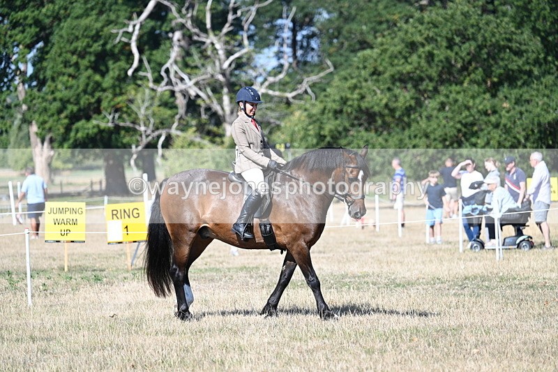 WJ7_3356 - Class 9 Mountain & Moorland Ridden